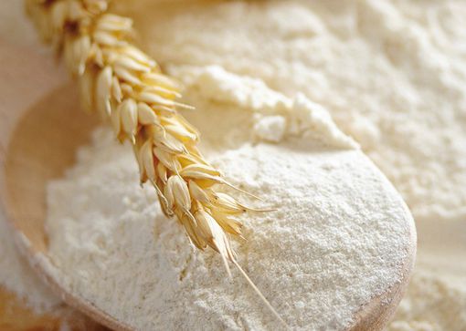 Appareils de désinsectisation par la chaleur pour la lutte antiparasitaire naturelle